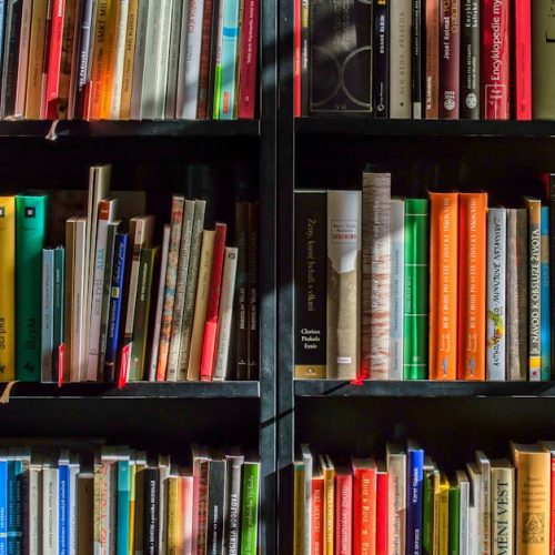 Vibrant collection of books on shelves for reading, research, and education.