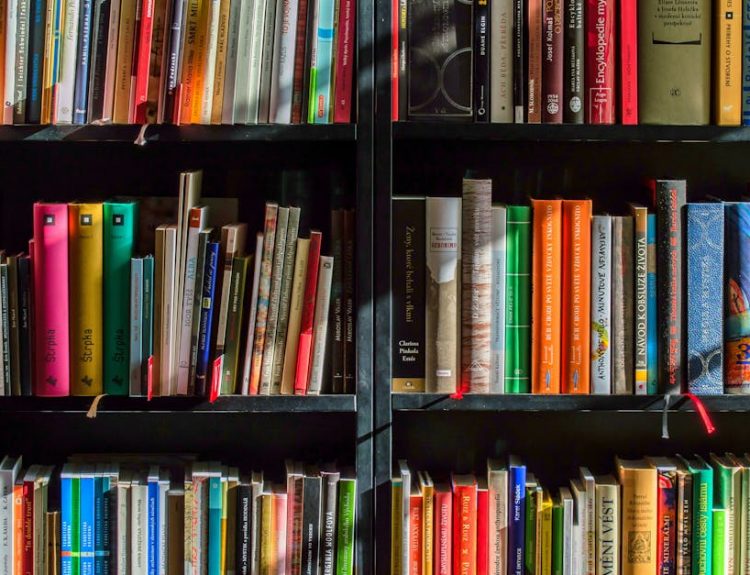 Vibrant collection of books on shelves for reading, research, and education.