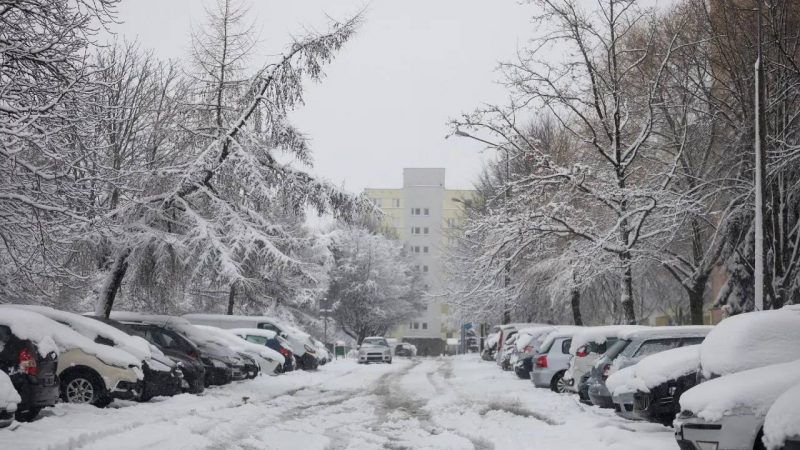 Еліміздің басым бөлігінде қар жауып, боран соғады: 23 қаңтарға арналған ауа райы болжамы