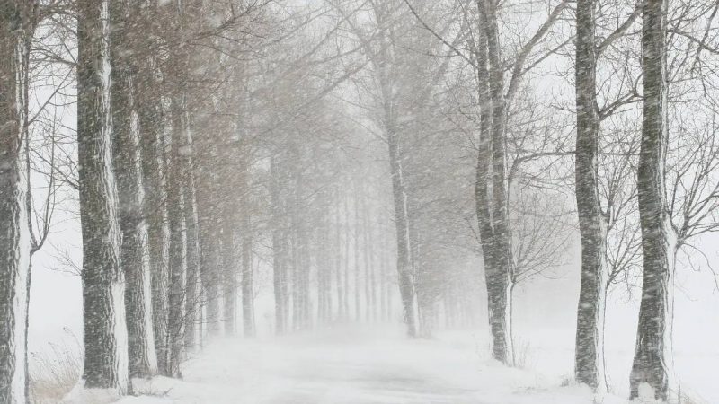 Астанада – ақ боран, Шымкентте – көктем исі: Еліміздің үш қаласында ауа райы қандай болады?