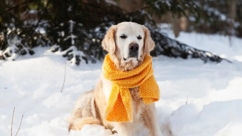 Қар аралас жаңбыр, көктайғақ: Қазақстанда ақпанның басында күн райы қандай болады?