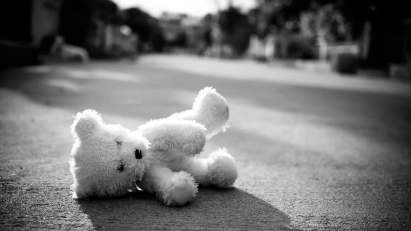 СҚО-да бес жасар қыз тірідей жанып кетті: Анасына қатысты қылмыстық іс қозғалды