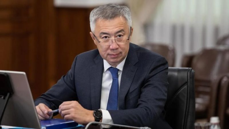 Серік Жұманғариннің жұбайы биржа арқылы 88 млн теңге табыс тапқан