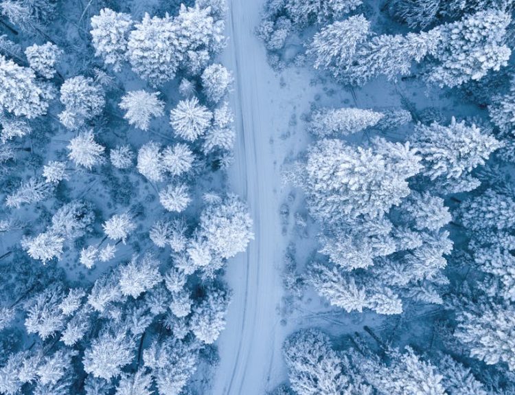A mesmerizing aerial perspective of a snowy winter forest with a winding path.