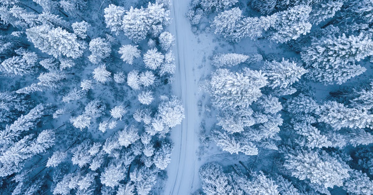 A mesmerizing aerial perspective of a snowy winter forest with a winding path.