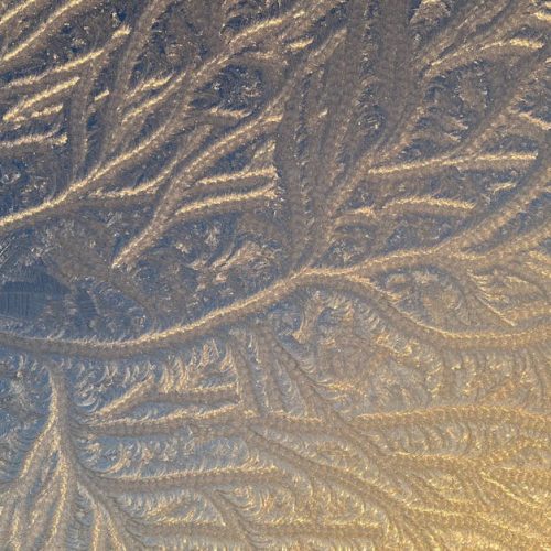Close-up of intricate frost patterns on a window with a warm golden light.