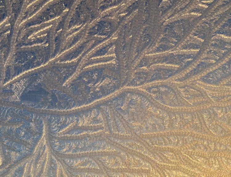 Close-up of intricate frost patterns on a window with a warm golden light.