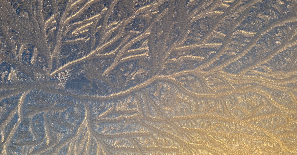 Close-up of intricate frost patterns on a window with a warm golden light.