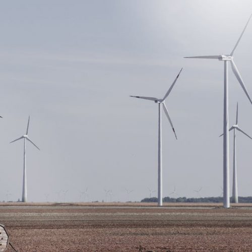 Wind turbines generating renewable energy in a vast open field under a clear sky.