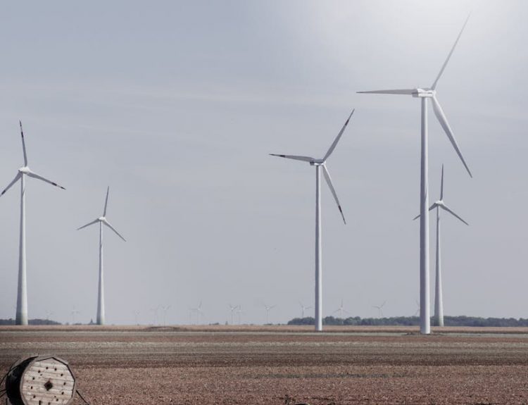 Wind turbines generating renewable energy in a vast open field under a clear sky.