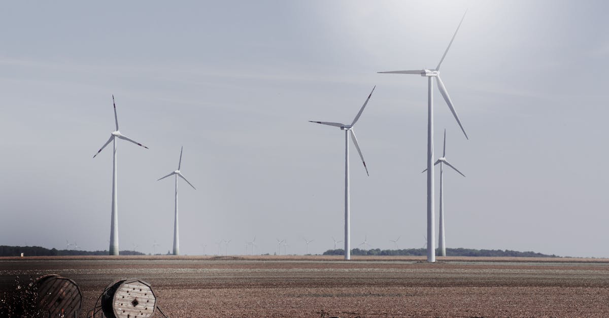 Wind turbines generating renewable energy in a vast open field under a clear sky.