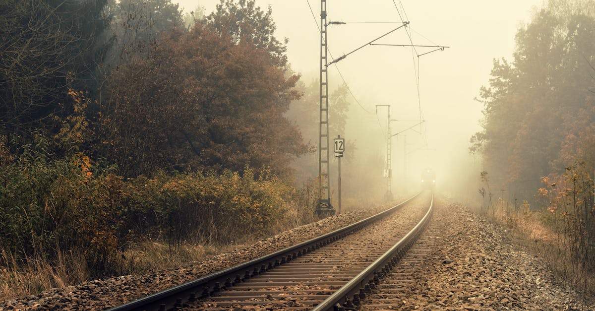 Foggy autumn scene of railway tracks disappearing into mist amidst colorful trees.