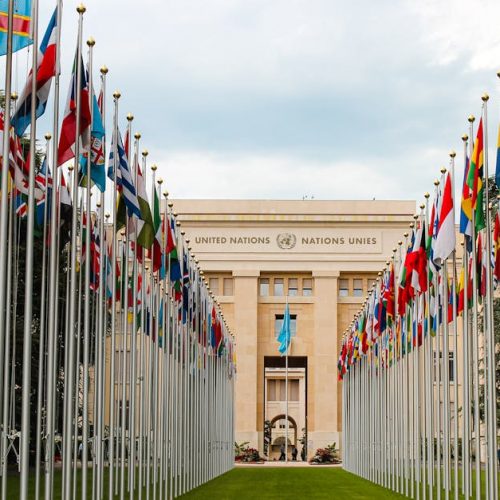 From below of various flags on flagpoles located in green park in front of entrance to the UN headquarters in Geneva