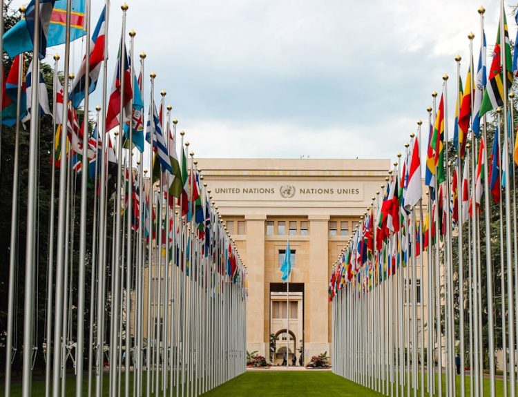 From below of various flags on flagpoles located in green park in front of entrance to the UN headquarters in Geneva