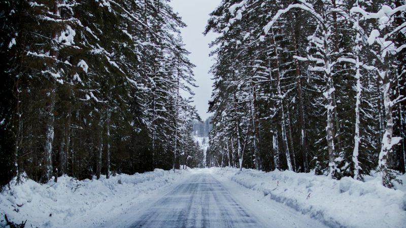 Бүгін желді, көктайғақ әрі тұман: синоптиктер 2 қаңтарға ескерту жариялады