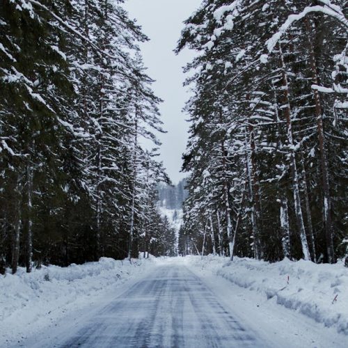 A serene snowy road through a winter forest lined with tall trees.