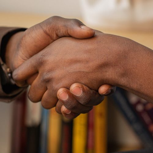 A close-up of two people shaking hands in a professional setting by a bookshelf.