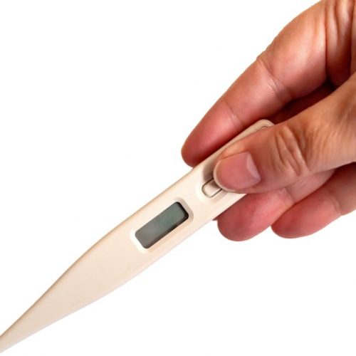 Close-up of a hand holding a digital thermometer, ideal for health and medical concepts.