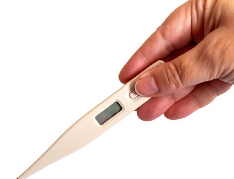 Close-up of a hand holding a digital thermometer, ideal for health and medical concepts.