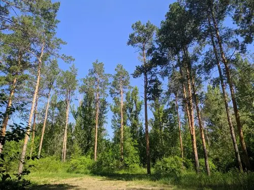 Оралдағы «Хан тоғайы» экопаркке айналады   