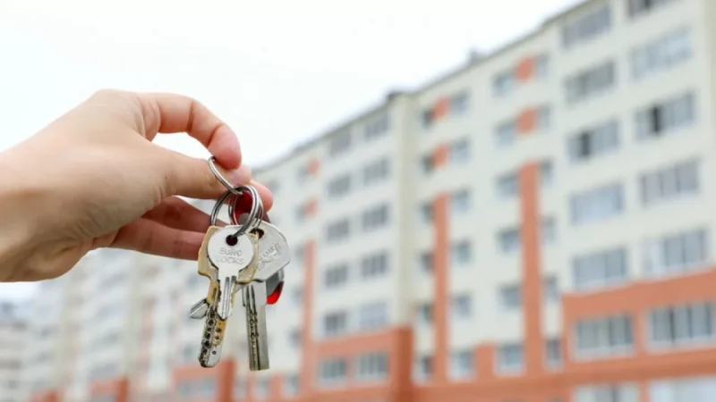 43 мың жетім бала пәтер кезегінде: сенатор не деді?