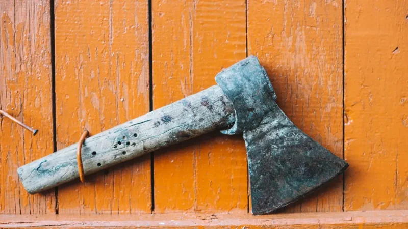 Алматыда оқушы қыз мектепке балта алып келді: полиция алдын алды