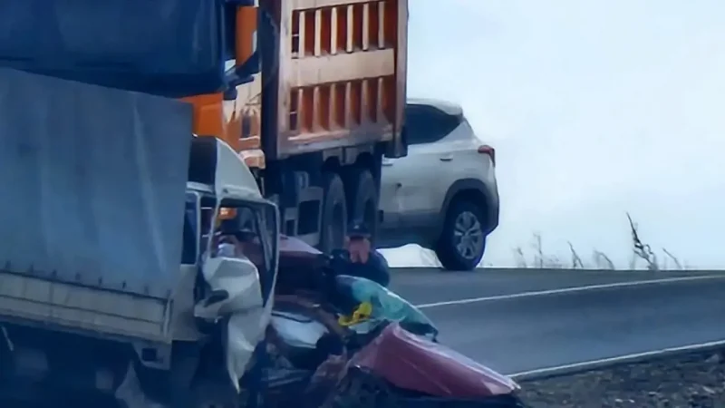 ШҚО-дағы тасжолда екі көлік соқтығысып, екі адам қаза тапты