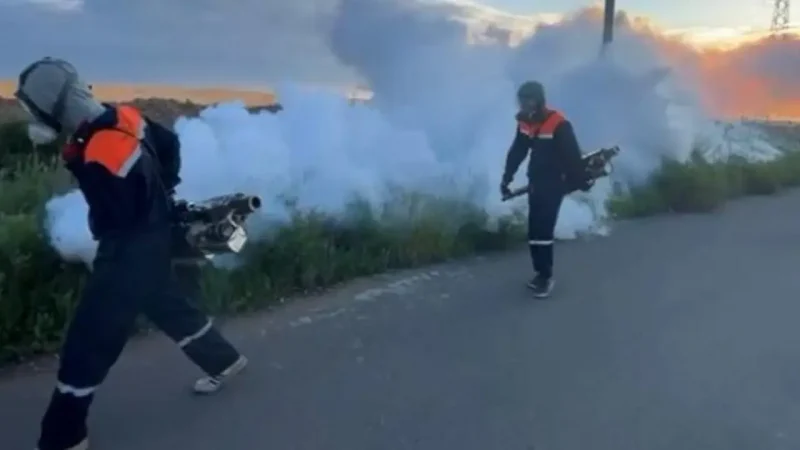 Астанада маса мен шыбын-шіркейге қарсы күрес: дезинсекция басталды