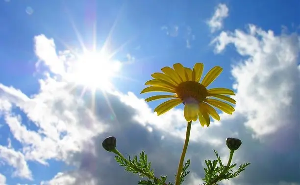 Солтүстікте жел, оңтүстікте ыстық: 25 сәуірде ауа райы қандай?