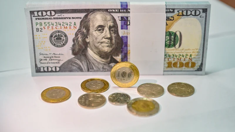 25 сәуірдегі валюта бағамы: доллар, еуро, рубль қанша тұр?