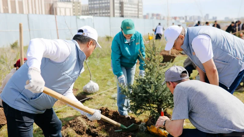 Астанада «Таза Қазақстан» акциясы: түрлі сала қызметкерлері бірігіп көшет екті