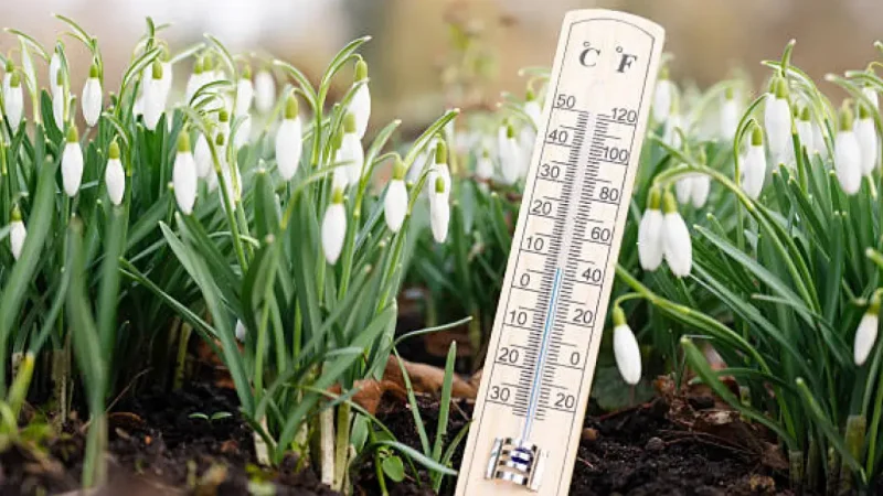 Ауа райы: 15 қазанда Қазақстанда жел мен тұман күшейеді