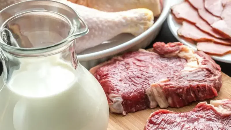 Астанада 1-3 мамырда ауылшаруашылық жәрмеңкесі: ет пен сүт арзан