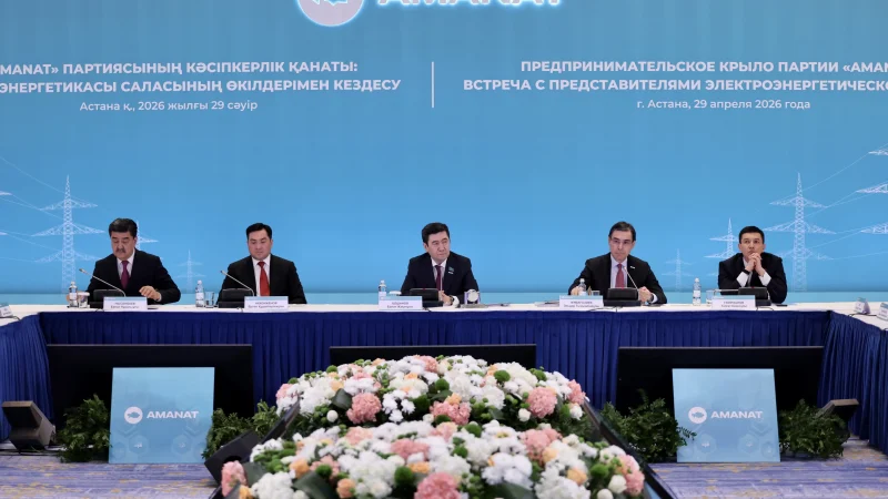Энергетикадағы тариф пен кадр тапшылығы: «AMANAT» өз ұсынысын айтты