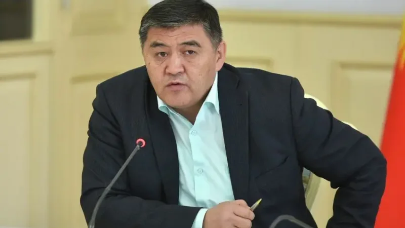 Қамшыбек Тәшиевке екі бап бойынша айып тағылды: билікті басып алу әрекеті