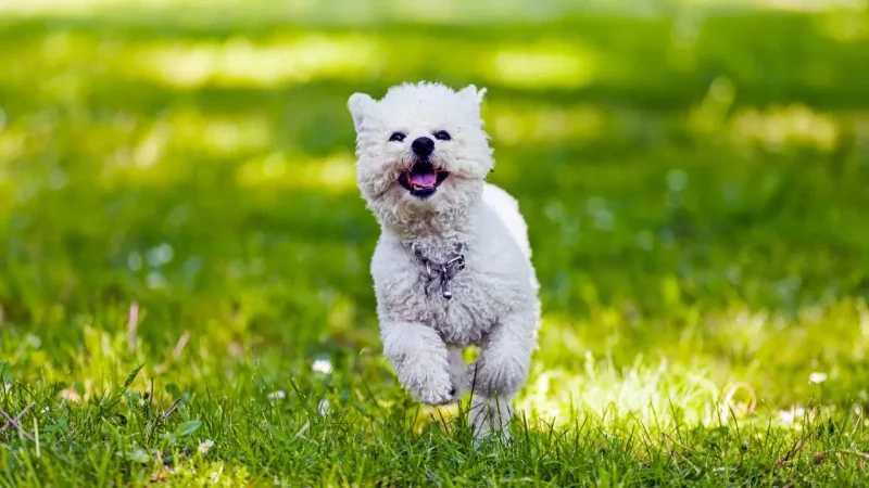 Мамыр айында ауа райы құбылмалы: аптап ыстық пен нөсер кезектеседі