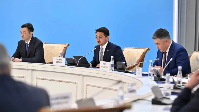 Қазақ тілін цифрлық жүйеге толық кіріктіру – Президент тапсырмасы