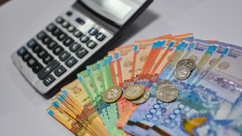 Вице-президент пен Халық кеңесінің қаржысы қайдан табылды? Министр жауап берді