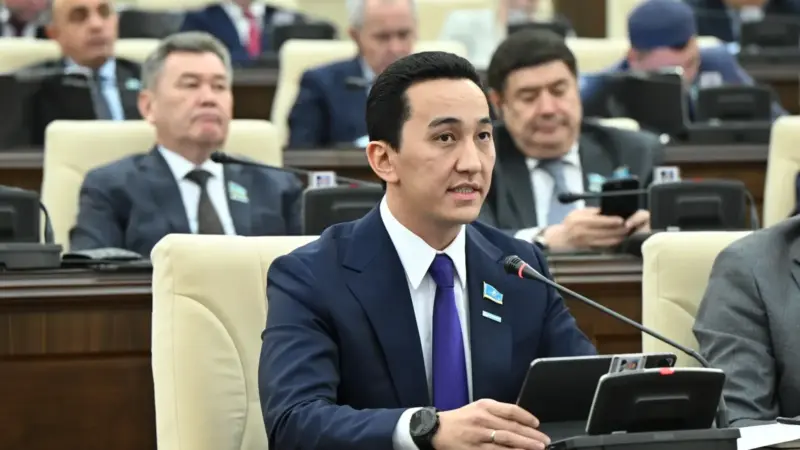 Депутаттар былапыт сөзді насихаттайтын тренингтерді тексеруді талап етті
