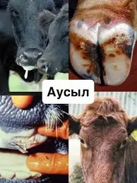 Қазақстан аусылдан таза – Орталық және Шығыс Азияда жалғыз