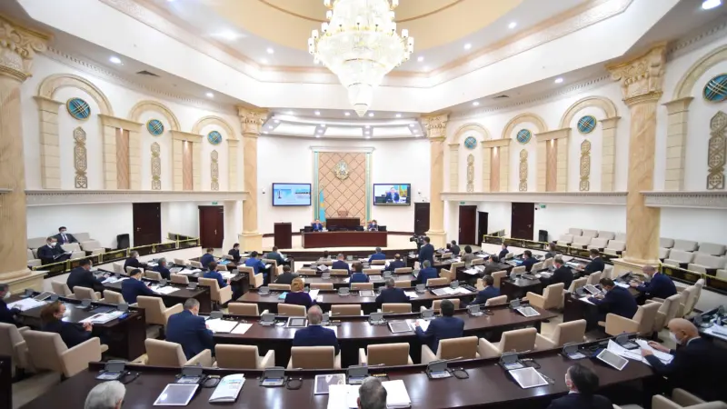 Сенат тұрмыстық зорлық-зомбылыққа рақымшылық қолданылмайтын заңды мақұлдады