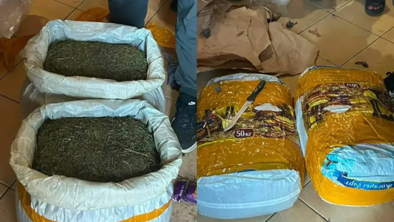 Маңғыстауда есірткі айналымына қатысы бар күдіктілер ұсталып, 20 келі марихуана тәркіленді